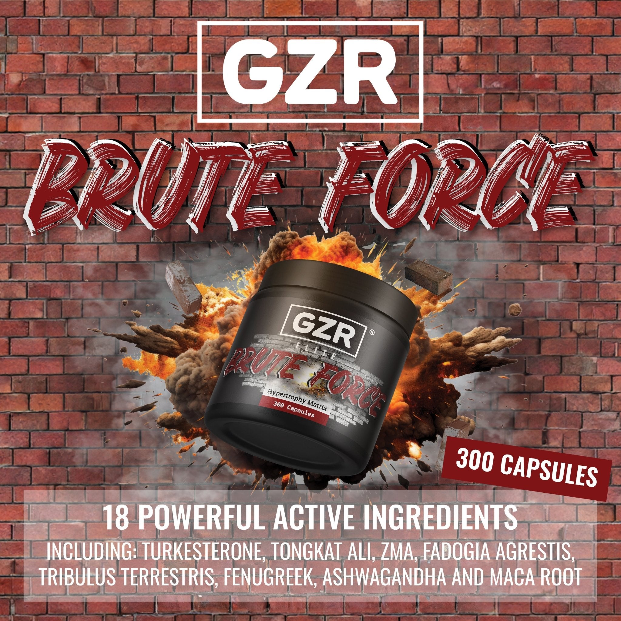 The Science Behind Brute Force - GZR